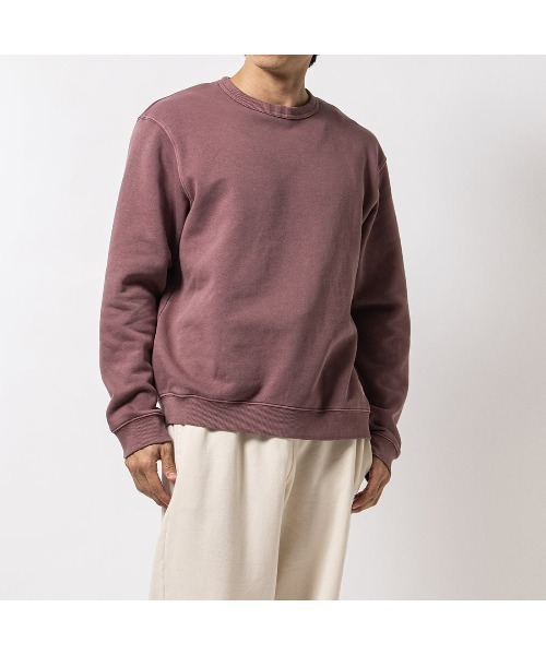 Reebok(リーボック)の「クラシック フリース スウェット / CLASSIC ND FLEECE SWEAT(スウェット・メンズ・アイボリー/マルーン・LARGE/MEDIUM/SMALL/XX-LARGE/X-LARGE/X-SMALL)」の19枚目の写真