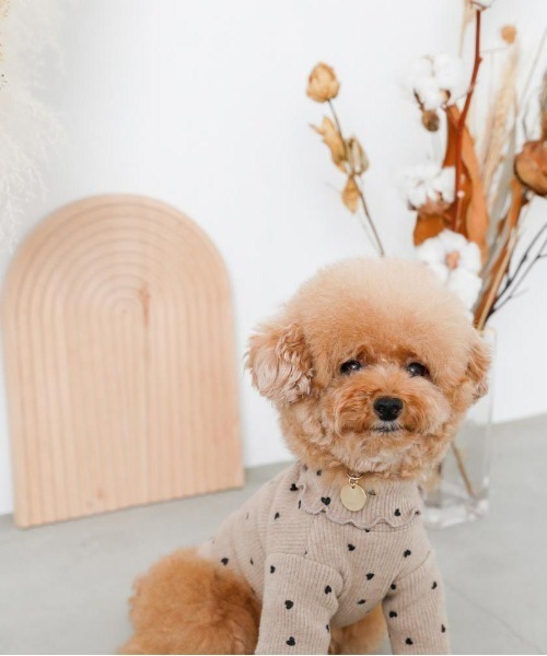 moncheri（モンシェリ）の「ハート柄リブメロウトップス / 犬服 / ドッグウェア（ペットウェア・レディース・ベージュ/アイボリー・S/M/L/XL/2M/XS）」の9枚目の写真