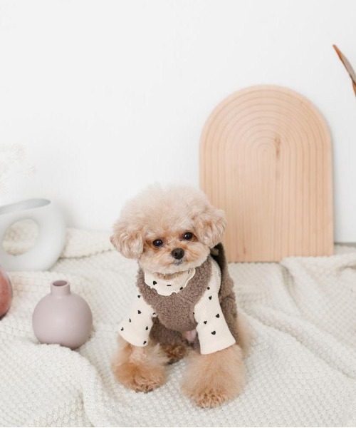 moncheri（モンシェリ）の「ハート柄リブメロウトップス / 犬服 / ドッグウェア（ペットウェア・レディース・ベージュ/アイボリー・S/M/L/XL/2M/XS）」の13枚目の写真