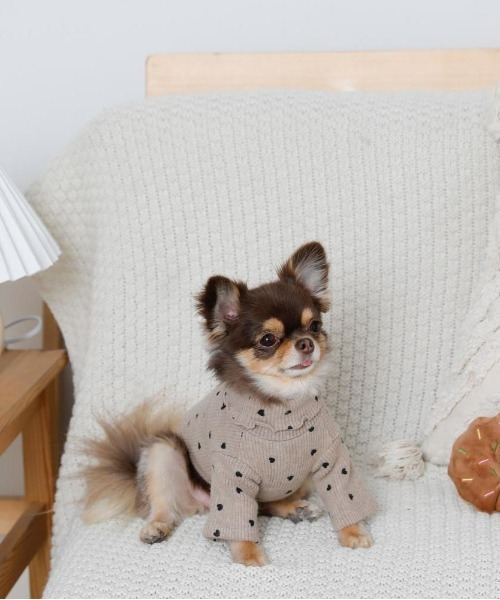 moncheri（モンシェリ）の「ハート柄リブメロウトップス / 犬服 / ドッグウェア（ペットウェア・レディース・ベージュ/アイボリー・S/M/L/XL/2M/XS）」の20枚目の写真