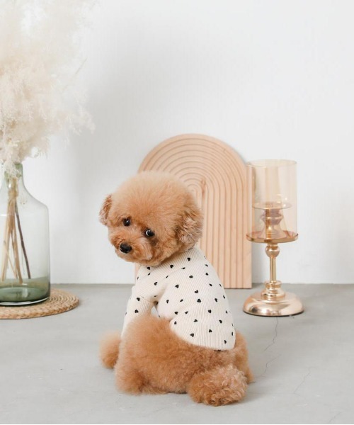 moncheri（モンシェリ）の「ハート柄リブメロウトップス / 犬服 / ドッグウェア（ペットウェア・レディース・ベージュ/アイボリー・S/M/L/XL/2M/XS）」の6枚目の写真