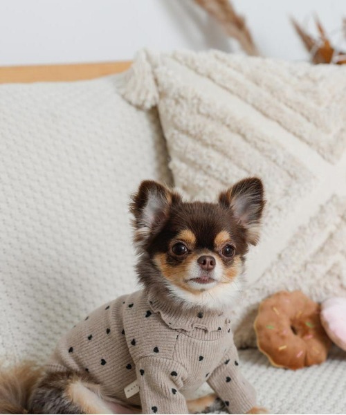 moncheri（モンシェリ）の「ハート柄リブメロウトップス / 犬服 / ドッグウェア（ペットウェア・レディース・ベージュ/アイボリー・S/M/L/XL/2M/XS）」の18枚目の写真