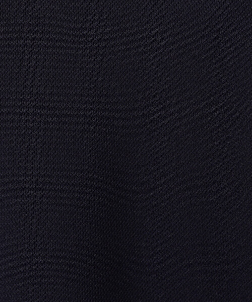 COMME CA ISM(コムサイズム)の「【サスティナブル】 AQUAROBE ポロシャツ(ポロシャツ・レディース・ホワイト/ネイビー/ブルー・FREE)」の20枚目の写真