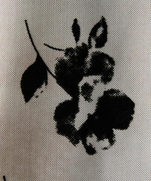 forksy.(フォルクシー)の「【forksy.】フロッキー花柄プリントプルオーバー(Tシャツ/カットソー・レディース・ベージュ/ブラウン/グレー・FREE)」の22枚目の写真