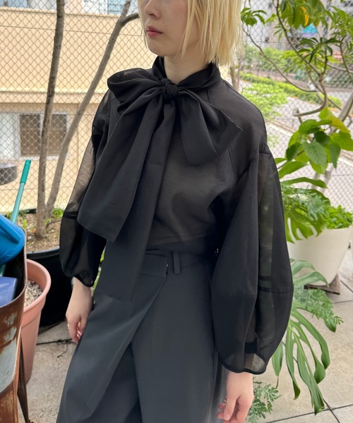 NAVE（ネイヴ）の「オーガンジーブラウス（シャツ/ブラウス）」 - WEAR