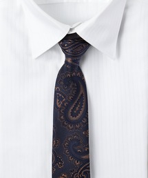 TETE HOMME（テットオム）の「アズーロ エ ビアンコ シルク ペイズリー ストライプ ネクタイ（ネクタイ）」