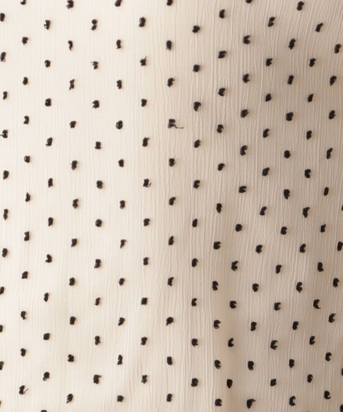 DRESSTERIOR(ドレステリア)の「【シアーシャツ/清涼感】ドットジャカードプルオーバーブラウス(シャツ/ブラウス・レディース・ブラック/ライトベージュ・38/36/34)」の7枚目の写真