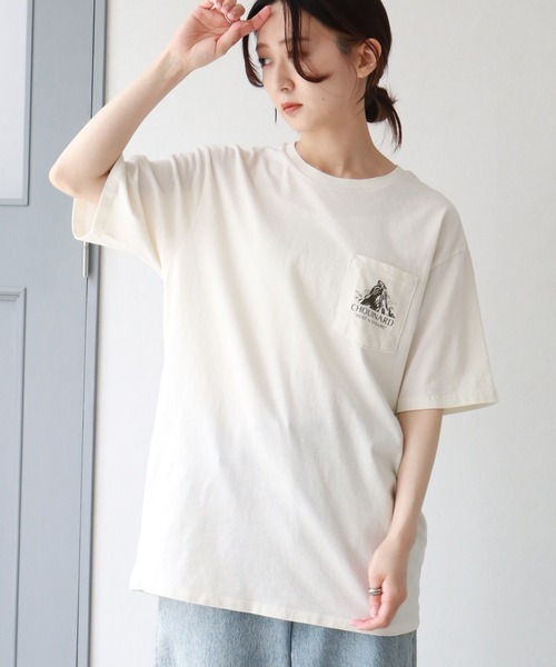 レア？ シュイナード ファイブテン・シャツ パタゴニア パタロハ