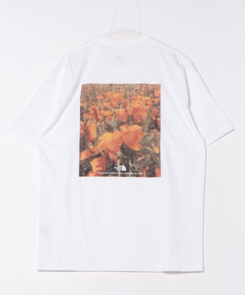 UNION STATION（ユニオンステーション）の「NT32549 S/S Pixel Plant Cotton Tee（Tシャツ/カットソー・メンズ・ホワイト/ブラック/グリーン・M/LL/L）」の6枚目の写真