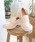 MODE KAORI�i���[�h�J�I���j�́u�y�{�v�z�X�j�[�J�[�~�b�N�X���[�t�@�[/62106�i���[�t�@�[�j�v�b�A�C�{���[