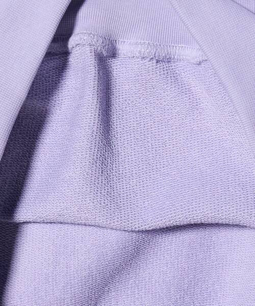 UNITED ARROWS & SONS(ユナイテッドアローズアンドサンズ)の「<WGN> Insect Sweat Shirt/スウェットシャツ(スウェット・メンズ・その他1/その他2・L/M)」の10枚目の写真