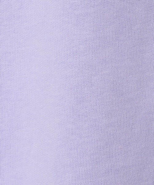 UNITED ARROWS & SONS(ユナイテッドアローズアンドサンズ)の「<WGN> Insect Sweat Shirt/スウェットシャツ(スウェット・メンズ・その他1/その他2・L/M)」の11枚目の写真