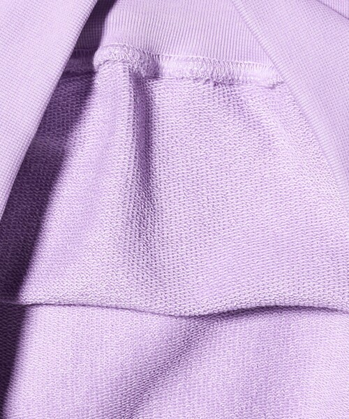 UNITED ARROWS & SONS(ユナイテッドアローズアンドサンズ)の「<WGN> Insect Sweat Shirt/スウェットシャツ(スウェット・メンズ・その他1/その他2・L/M)」の10枚目の写真