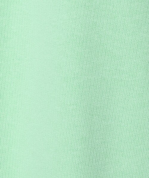 UNITED ARROWS & SONS(ユナイテッドアローズアンドサンズ)の「<WGN> Insect Sweat Shirt/スウェットシャツ(スウェット・メンズ・その他1/その他2・L/M)」の14枚目の写真