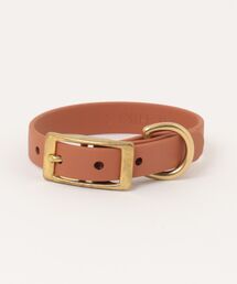 A.en（エイエン ）の「CLASSIC BRASS COLLAR（リード/ハーネス/首輪）」