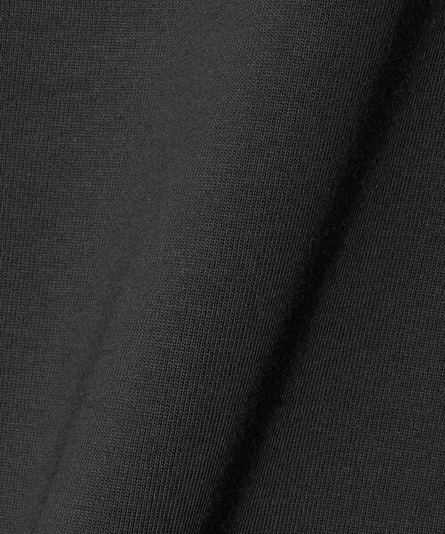 A DAY IN THE LIFE UNITED ARROWS(アデイインザライフユナイテッドアローズ)の「カット×サテン ヘムフレア レースカットソー ブラック&グレー <A DAY IN THE LIFE>(Tシャツ/カットソー・レディース・ブラック/ダークグレー・FREE)」の13枚目の写真