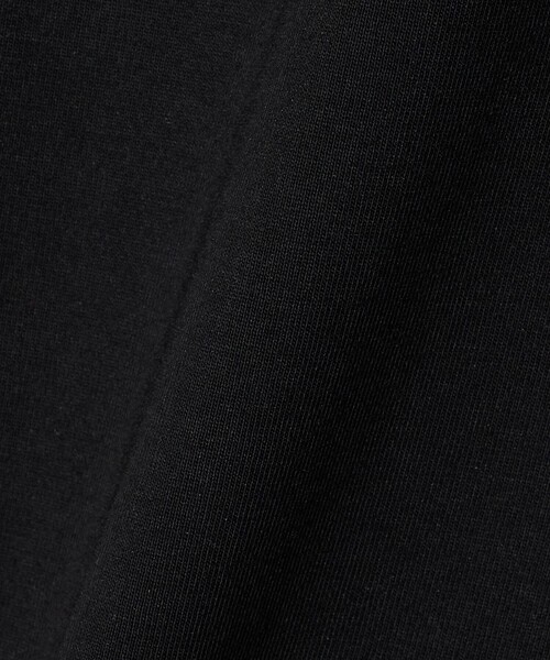 A DAY IN THE LIFE UNITED ARROWS(アデイインザライフユナイテッドアローズ)の「カット×サテン ヘムフレア レースカットソー ブラック&グレー <A DAY IN THE LIFE>(Tシャツ/カットソー・レディース・ブラック/ダークグレー・FREE)」の15枚目の写真