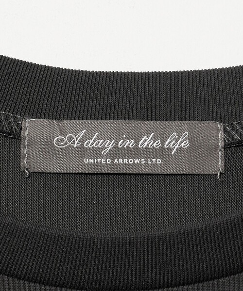 A DAY IN THE LIFE UNITED ARROWS(アデイインザライフユナイテッドアローズ)の「カット×サテン ヘムフレア レースカットソー ブラック&グレー <A DAY IN THE LIFE>(Tシャツ/カットソー・レディース・ブラック/ダークグレー・FREE)」の16枚目の写真