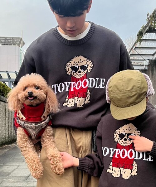 CIAOPANIC TYPY(チャオパニックティピー)の「犬 ニット アソートロゴジャガードニット(ニット/セーター・レディース・チャコールグレー/ネイビー/ブラウン/グレー/イエロー・MEDIUM/LARGE)」の17枚目の写真