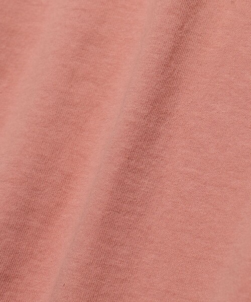 FREAK'S STORE（フリークスストア）の「WEB限定 カレッジロゴ 刺繍デザインTシャツ/CHEEZY（Tシャツ/カットソー・メンズ・ホワイト/ブラック/ベージュ/サックスブルー/ピンク・SMALL/MEDIUM/LARGE）」の21枚目の写真