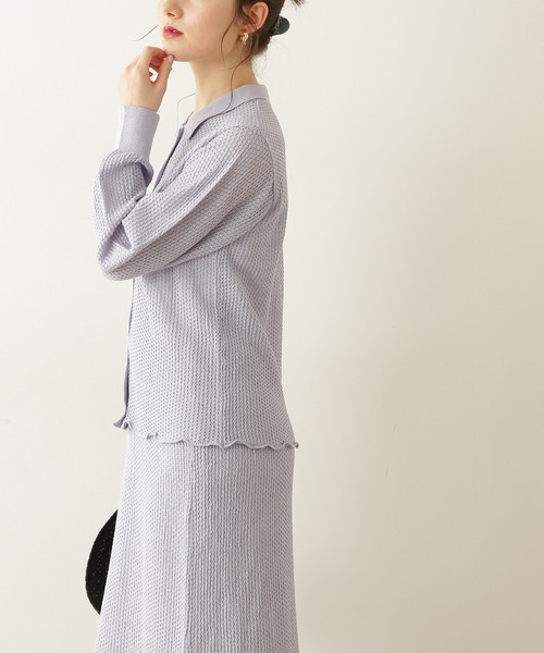 N.（N. Natural Beauty Basic）（エヌエヌナチュラルビューティーベーシック）の「《n.'look》◆透かし柄ポロ襟シャツニット（ニット/セーター・レディース・ブラウン/レッド/ブルーグレー・MEDIUM）」の7枚目の写真