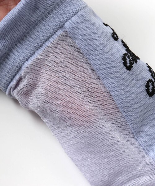 algy（アルジー）の「バックロゴシースルークルーソックス（ソックス/靴下・キッズ・ラベンダー/オフホワイト/サックスブルー・21/24）」の6枚目の写真