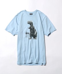 STUSSY/ステューシー BIG & MEATY PIG. DYED TEE プリントTシャツ