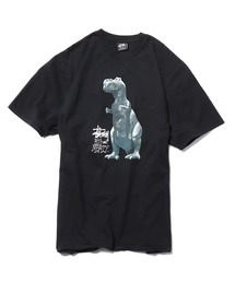 STUSSY | STUSSY/ステューシー BIG & MEATY PIG. DYED TEE プリントTシャツ(Tシャツ/カットソー)