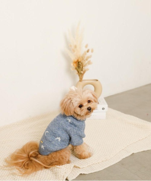 moncheri（モンシェリ）の「お星さまとお月さまハイネックニット / 犬服 / ドッグウェア（ペットウェア・レディース・アイボリー/ブルー・S/L/M/XL/2M/XS）」の4枚目の写真