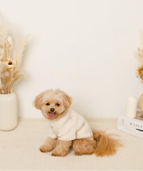 moncheri（モンシェリ）の「お星さまとお月さまハイネックニット / 犬服 / ドッグウェア（ペットウェア・レディース・アイボリー/ブルー・S/L/M/XL/2M/XS）」の7枚目の写真