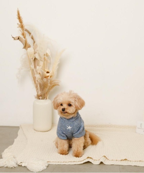 moncheri（モンシェリ）の「お星さまとお月さまハイネックニット / 犬服 / ドッグウェア（ペットウェア・レディース・アイボリー/ブルー・S/L/M/XL/2M/XS）」の8枚目の写真