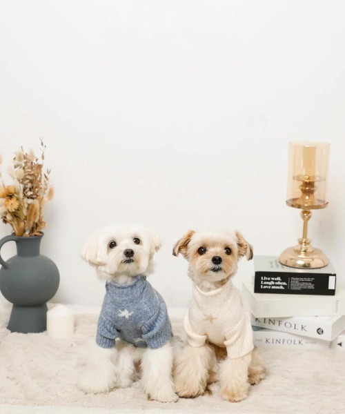 moncheri（モンシェリ）の「お星さまとお月さまハイネックニット / 犬服 / ドッグウェア（ペットウェア・レディース・アイボリー/ブルー・S/L/M/XL/2M/XS）」の20枚目の写真