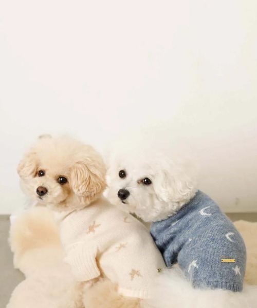 moncheri（モンシェリ）の「お星さまとお月さまハイネックニット / 犬服 / ドッグウェア（ペットウェア・レディース・アイボリー/ブルー・S/L/M/XL/2M/XS）」の18枚目の写真