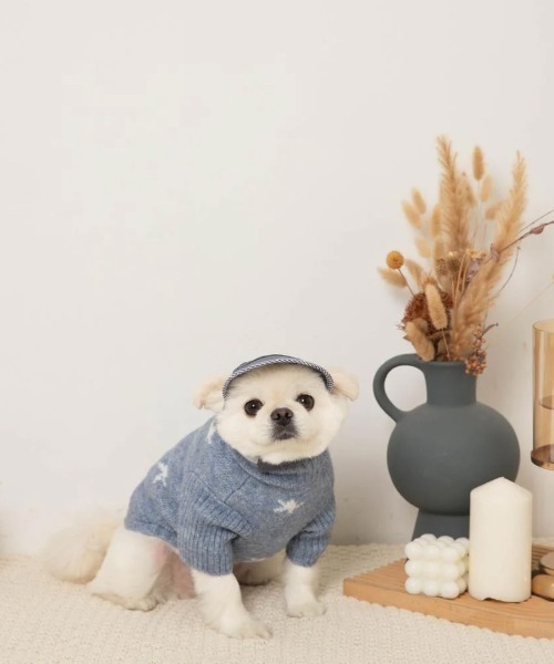 moncheri（モンシェリ）の「お星さまとお月さまハイネックニット / 犬服 / ドッグウェア（ペットウェア・レディース・アイボリー/ブルー・S/L/M/XL/2M/XS）」の16枚目の写真