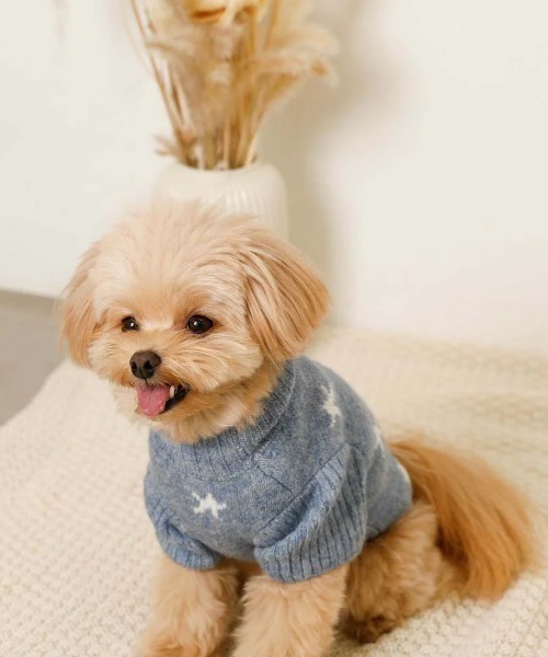 moncheri（モンシェリ）の「お星さまとお月さまハイネックニット / 犬服 / ドッグウェア（ペットウェア・レディース・アイボリー/ブルー・S/L/M/XL/2M/XS）」の14枚目の写真