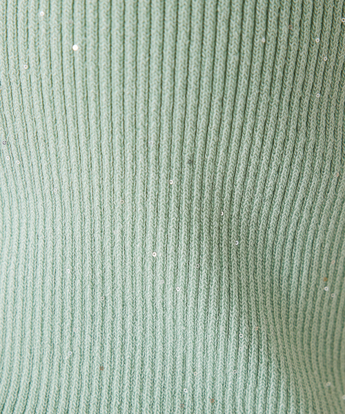 abahouse mavie（アバハウスマヴィ）の「【アンサンブル対応】スパンコールニットタンク/夏服（タンクトップ・レディース・ブラック/ブラウン/アイボリー/セージグリーン・フリー）」の16枚目の写真