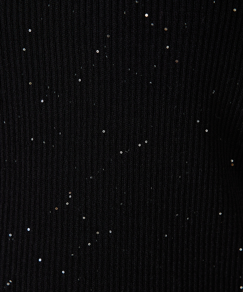 abahouse mavie（アバハウスマヴィ）の「【アンサンブル対応】スパンコールニットタンク/夏服（タンクトップ・レディース・ブラック/ブラウン/アイボリー/セージグリーン・フリー）」の8枚目の写真