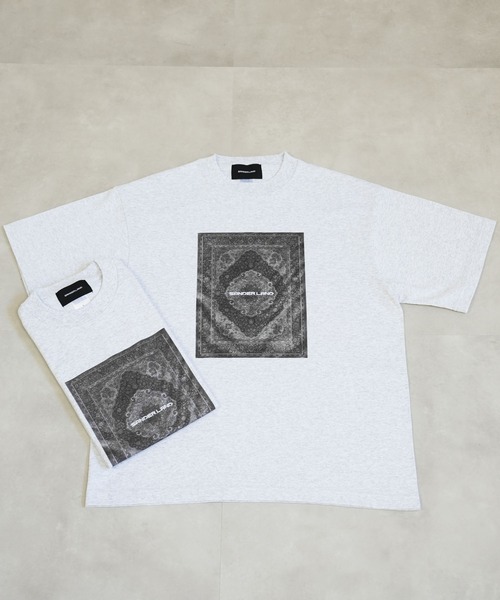 BASIS(ベイシス)の「SANDER LAND 7.1oz オープンエンド Rug ラギットTシャツ(Tシャツ/カットソー・メンズ・アッシュグレー・SMALL/MEDIUM/LARGE/X-LARGE)」の4枚目の写真