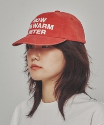 link lot（リンクロット）の「6-PANEL NOW I'M WARM PETER CAP / シックスパネル ナウ アイム ウォーム ピーター ロゴキャップ（キャップ）」