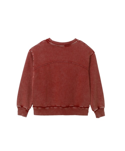Champion(チャンピオン)の「【Champion/チャンピオン】レディース クルーネックスウェットシャツ(スウェット・レディース・ダークネイビー/ブルー系その他3/マルーン・LARGE/MEDIUM)」の14枚目の写真