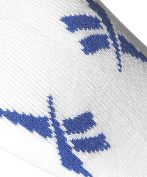 Reebok（リーボック）の「【Reebok CLASSIC×The Good Company】ソックス [CL TGC COLLAB CREW SOCKS]（ソックス/靴下・メンズ・ホワイト・27.0～29.0cm/24.0～26.0cm）」の2枚目の写真