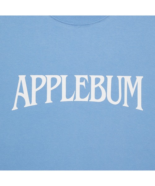 APPLEBUM（アップルバム）の「"Bridge Logo" T-shirt（Tシャツ/カットソー・メンズ・サックスブルー/レッド/インディゴブルー/オフホワイト・X-LARGE/LARGE/MEDIUM/XX-LARGE）」の17枚目の写真