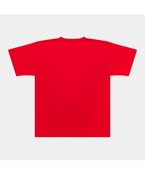 APPLEBUM（アップルバム）の「"Bridge Logo" T-shirt（Tシャツ/カットソー・メンズ・サックスブルー/レッド/インディゴブルー/オフホワイト・X-LARGE/LARGE/MEDIUM/XX-LARGE）」の9枚目の写真