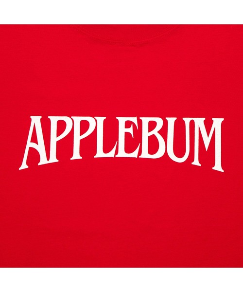 APPLEBUM（アップルバム）の「"Bridge Logo" T-shirt（Tシャツ/カットソー・メンズ・サックスブルー/レッド/インディゴブルー/オフホワイト・X-LARGE/LARGE/MEDIUM/XX-LARGE）」の7枚目の写真