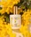 FERNANDA�i�t�F���i���_�j�́u�I�[�h�p���t�@��50ml�i�~���U�u�[�P�j/Eau de Parfum 50ml (Mimosa Bouquet)�i�����j�v�b���̑�