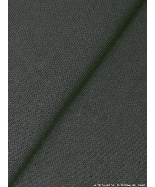 EVRIS（エヴリス）の「【メロクロコラボ】レースドッキングクロミTシャツ（Tシャツ/カットソー・レディース・ブラック・FREE）」の16枚目の写真