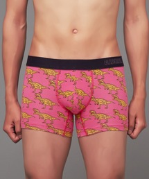 BODY WILD({fB[Ch)BODY WILD/{fBCh {NT[pc ȍ^Cv T.Rex({NT[pc)