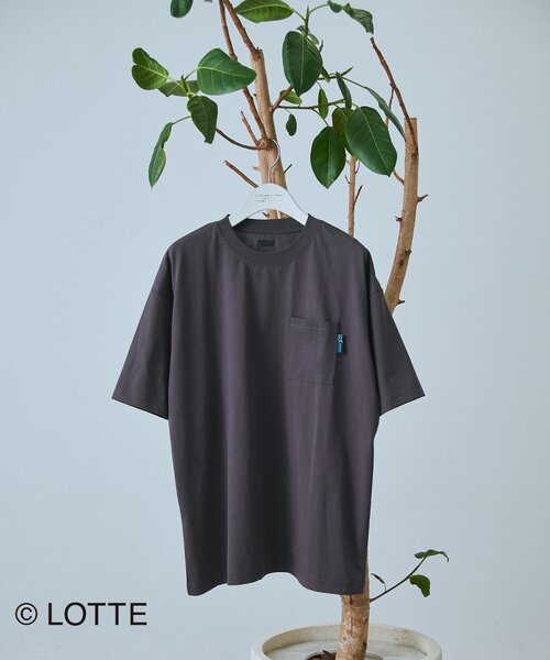 CIAOPANIC TYPY(チャオパニックティピー)の「【TYPY×LOTTE板ガム】持続冷感バックロゴクールミントポケットTEE(Tシャツ/カットソー・メンズ・ブルー/チャコールグレー/ホワイト/イエロー・MEDIUM/LARGE/X-LARGE/SMALL)」の5枚目の写真