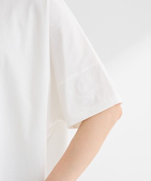 Green Parks(グリーンパークス)の「アソート柄BigサイズTシャツ(Tシャツ/カットソー・レディース・D/A/C/B・FREE)」の13枚目の写真