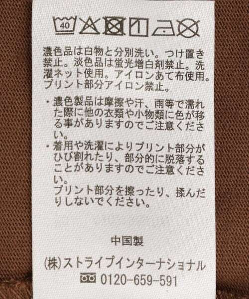 Green Parks(グリーンパークス)の「アソート柄BigサイズTシャツ(Tシャツ/カットソー・レディース・D/A/C/B・FREE)」の22枚目の写真